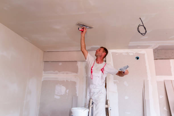 Pleasant Hill, CA Dry wall and painting Company